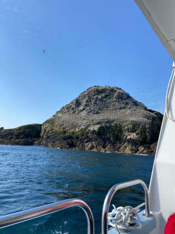 Gites Le Rucher De Kerillis Plouguiel Bagian luar foto